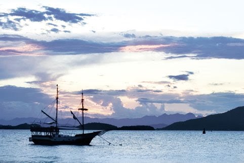 Geografia Hoje Baía da Babitonga De volta à vida