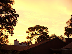 Sunset over rooftops