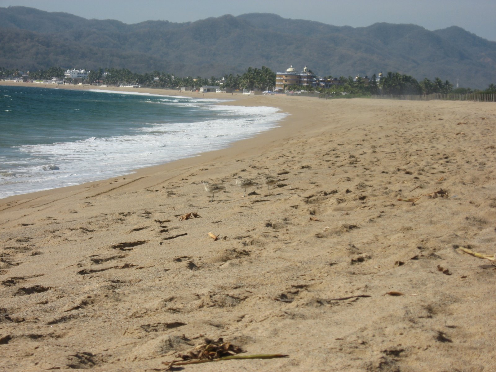 [IMG_1252.JPG]