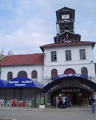 Slanic Salt Mine