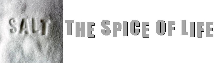 salt_the_spice_of_life