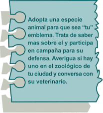 Animales