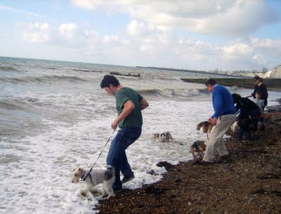 [Seadogs.jpg]