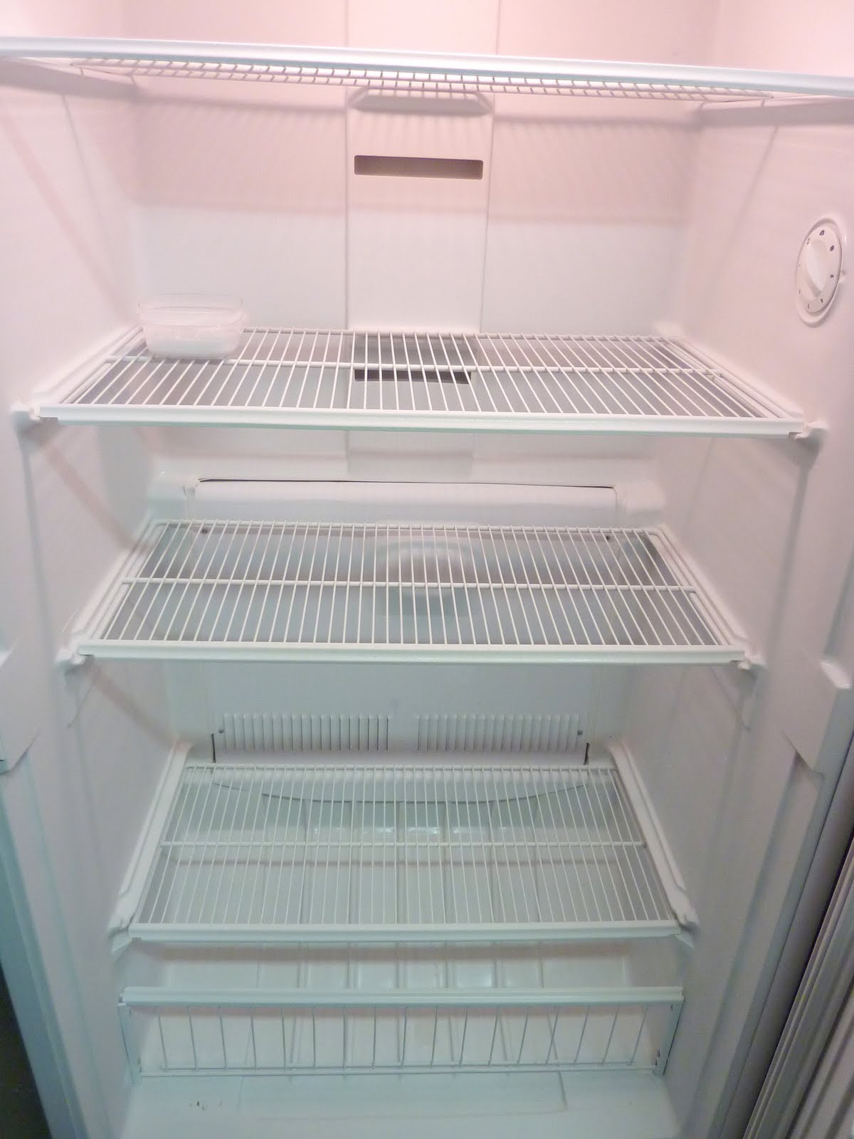 Addicted to Homes Spray Painting Upright Freezer