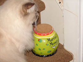 Martini Money