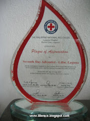 Red Cross Plaque 2007