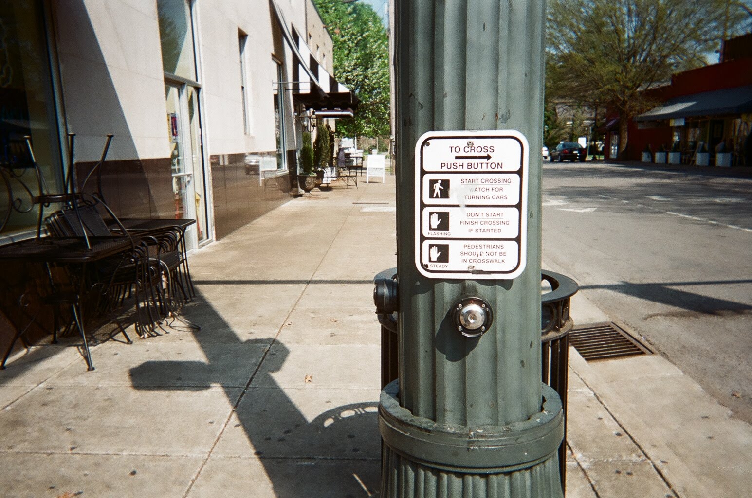 Throw Away Cameras 2 & 3