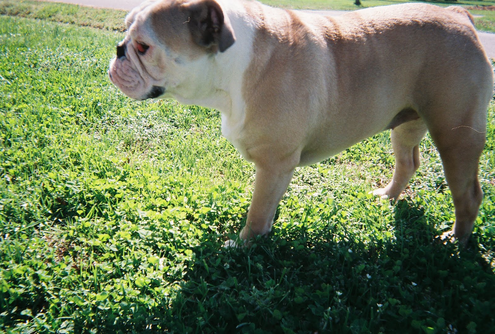 Throw Away Cameras 2 & 3