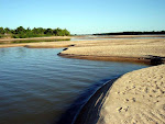 Rio Araguaia esta morrendo, veja!