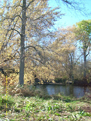 Riding in the dump truck in Salisbury fall 2007