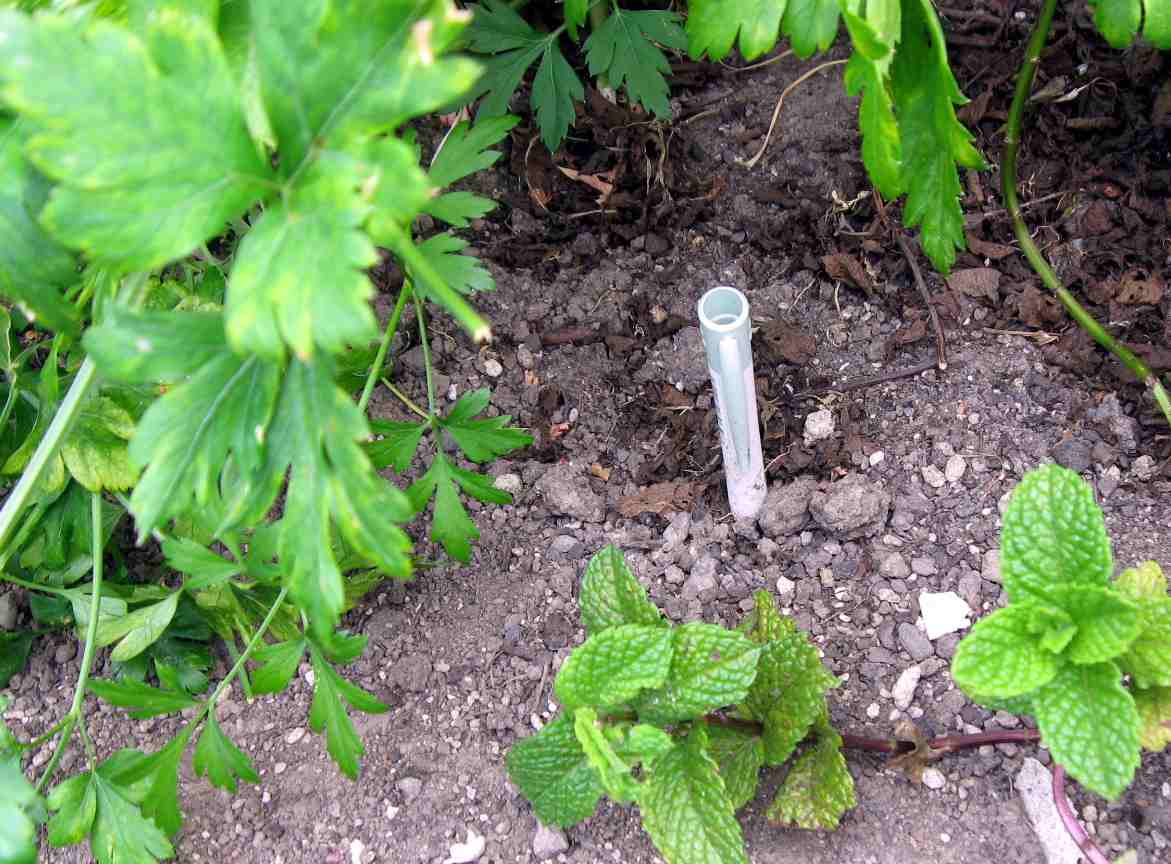 papermate biodegradable pen