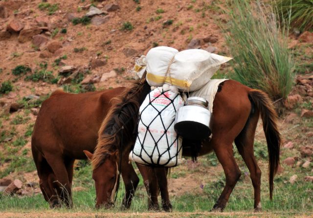 Who built hampi picture
