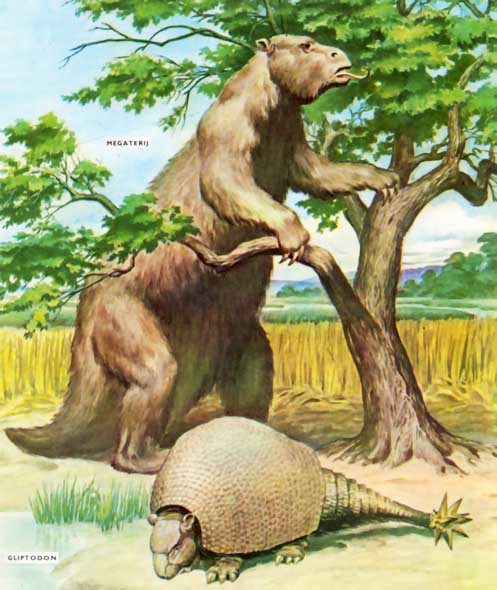 [pregiça+e+gliptodonte+gigantes.jpg]