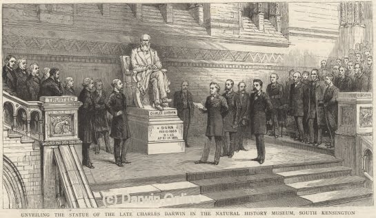 [estatua+e+histÃ³ria+darwin.jpg]