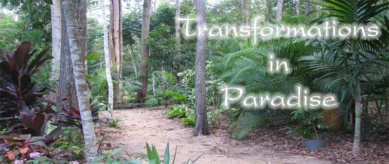 Transformations in Paradise
