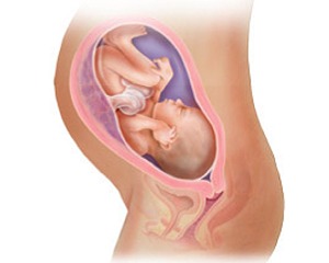 [32+semaninhas]