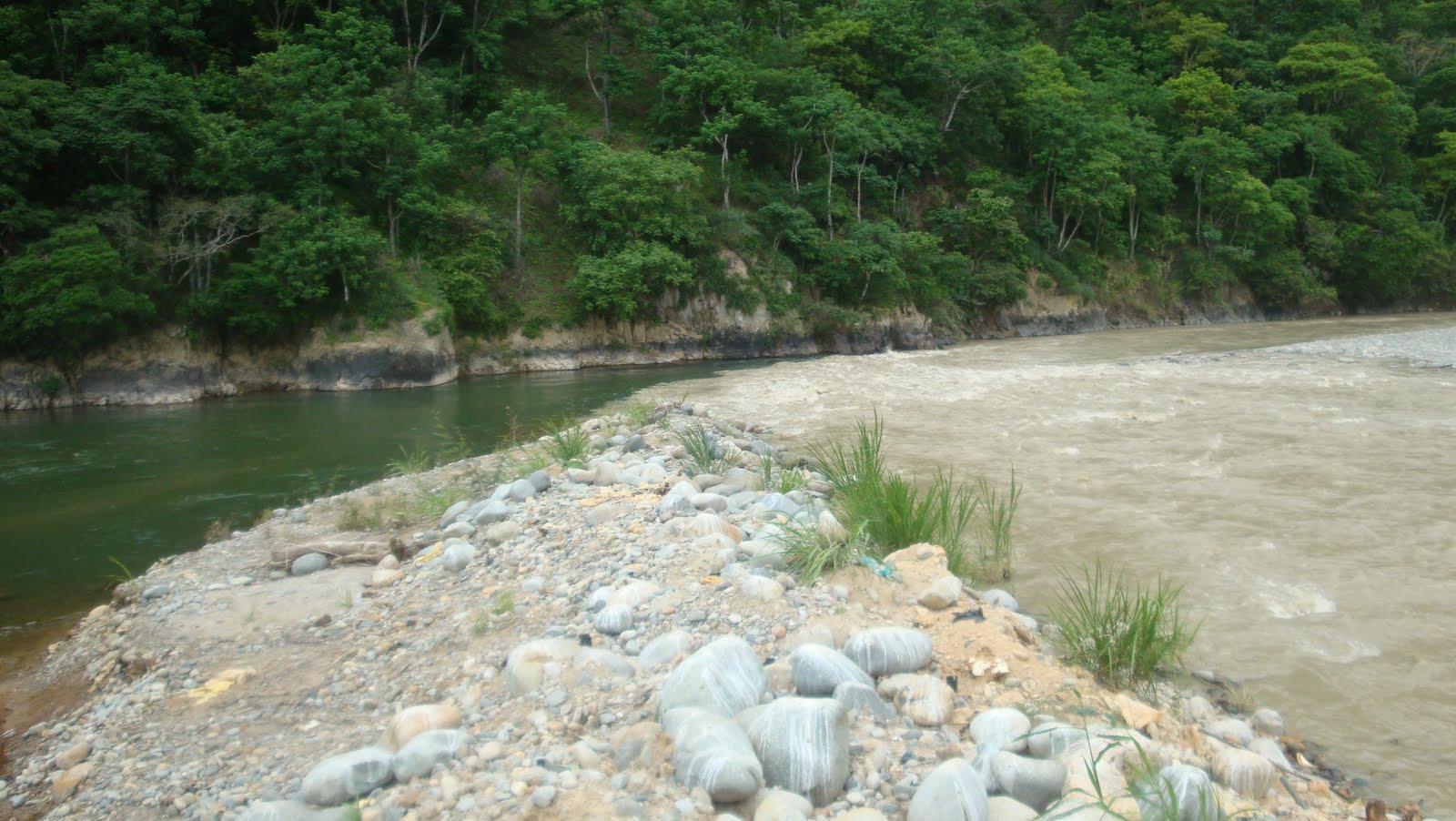 Aguas Contaminadas