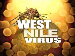 West Nile Virus 2010 Threat in Washington