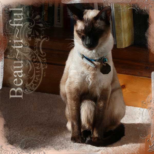 [web-pye-asleep.jpg]