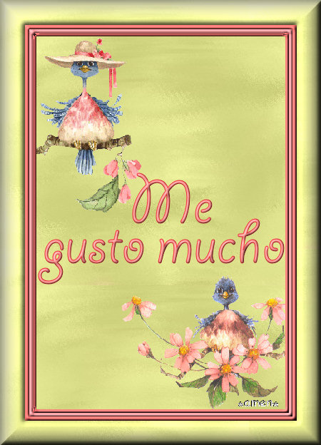 [EXTRAS27.ME+GUSTO.jpg]