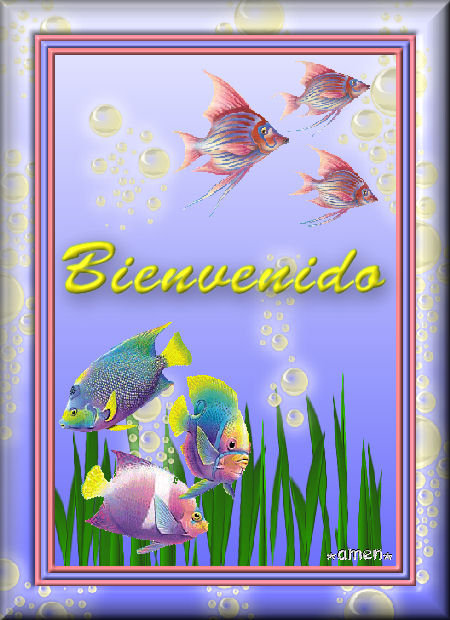 [EXTRAS23.BIENVENIDO.jpg]