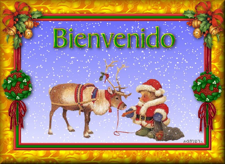 [EXTRAS+NAVIDAD3.BIENVENIDO.jpg]