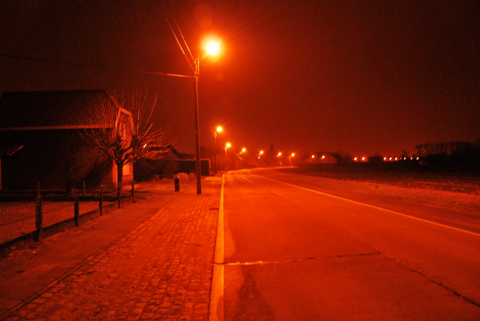 [DSC_0516.JPG]