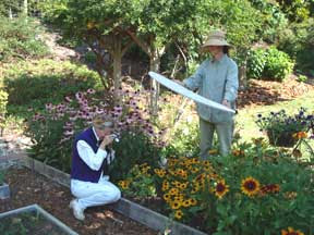 seed photographer Karen Bailey