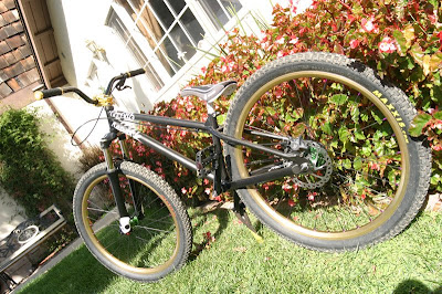 maxxis holy roller 26 x 2.4