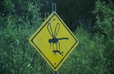 Funny Signs For Wildlife