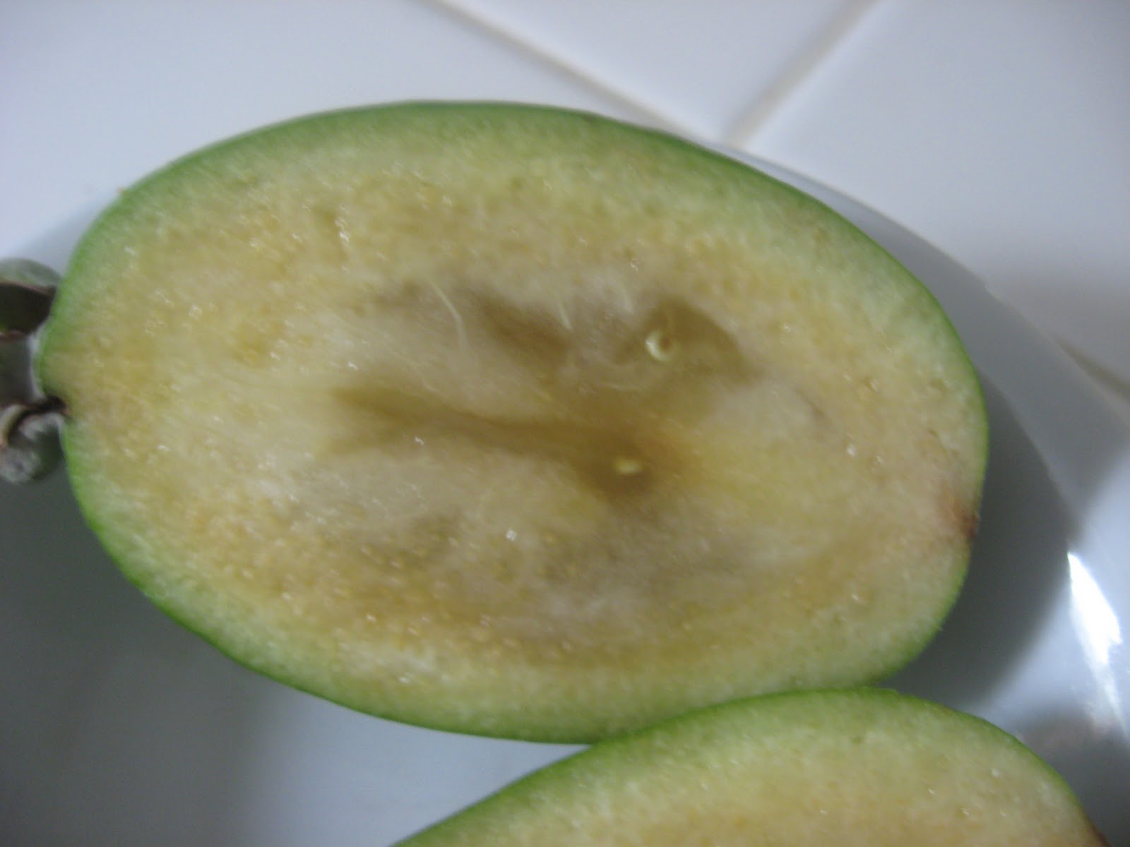 Dreamin' It Vegan Back tracking and pineapple guava