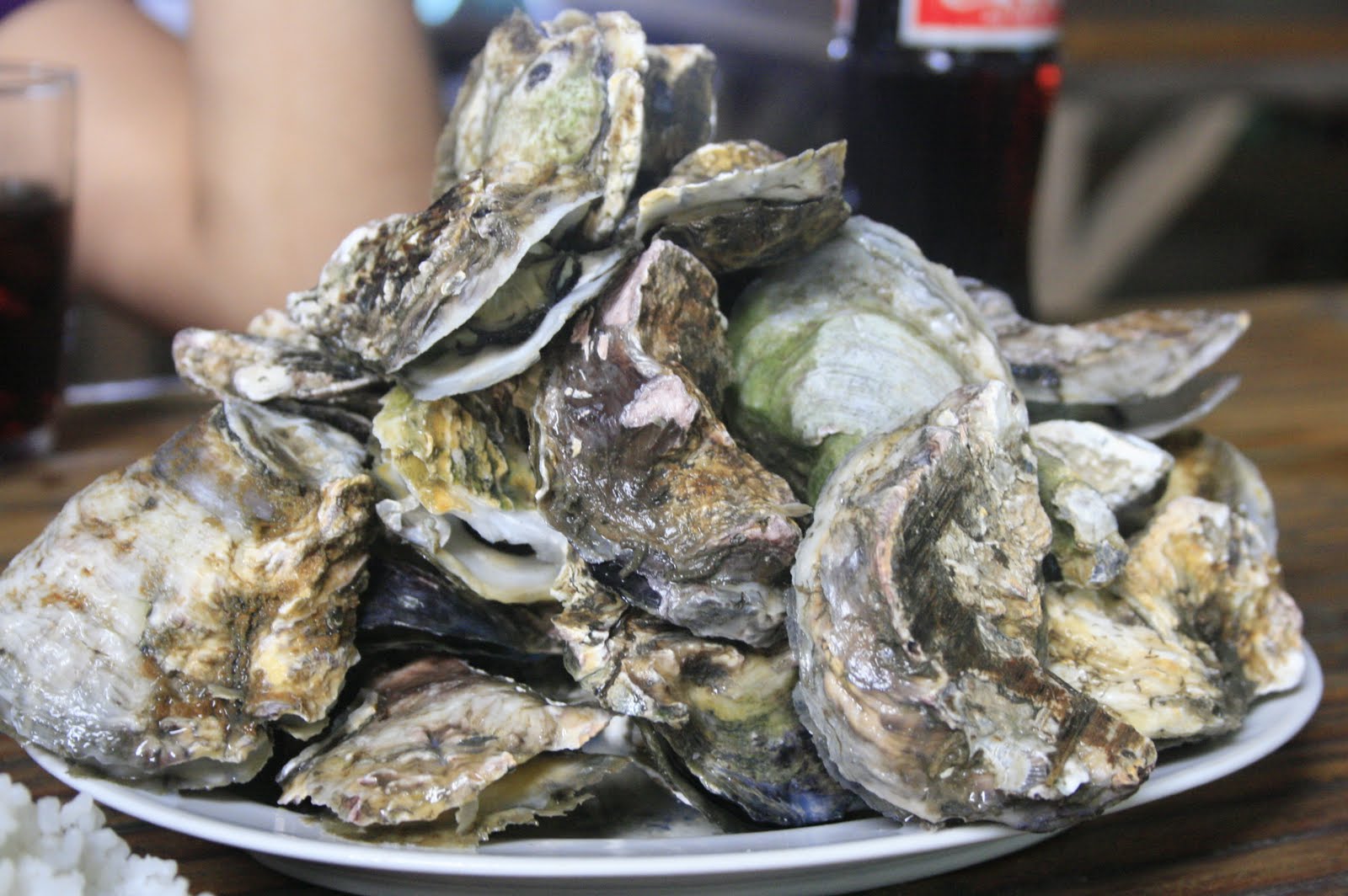 Good Seafood Restaurants In Islamorada