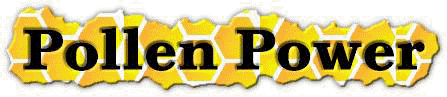 [logo.gif]