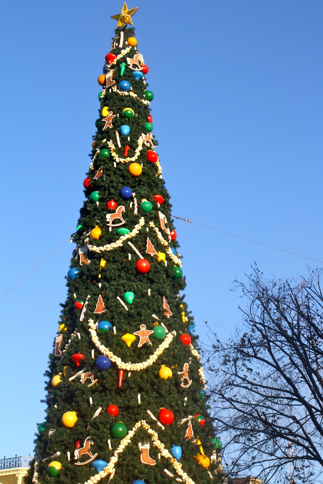 Christmas trees around the "World" Going Jane