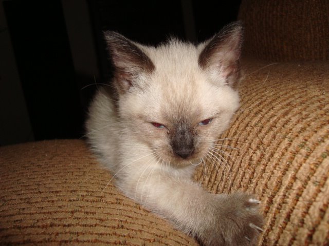 [DSC00425.JPG]