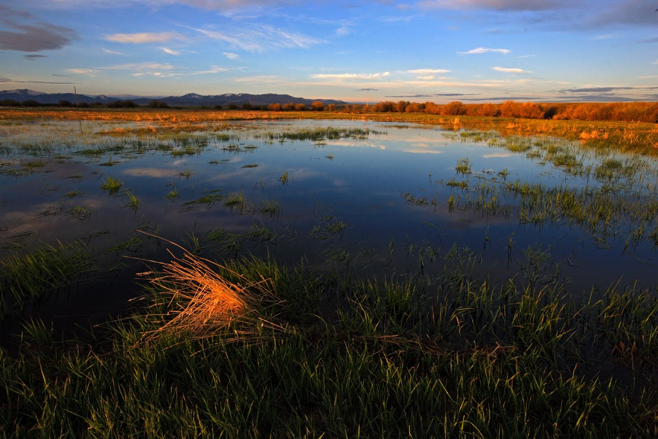 Ken Papaleo X Marks the Shot Sunrise & Sunsets in Walden Colorado