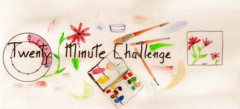 The Twenty Minute Challenge
