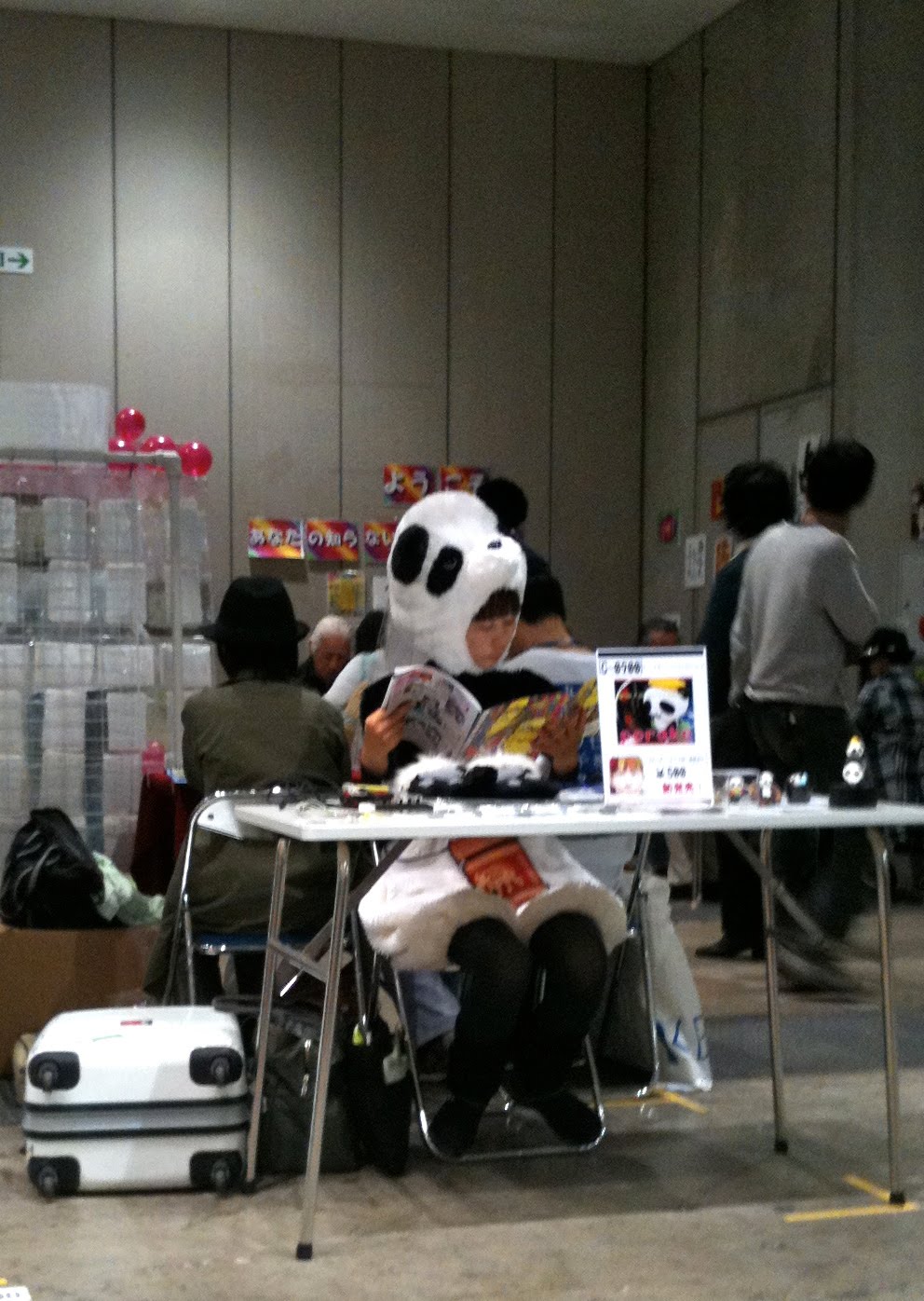 Sad Panda Costume
