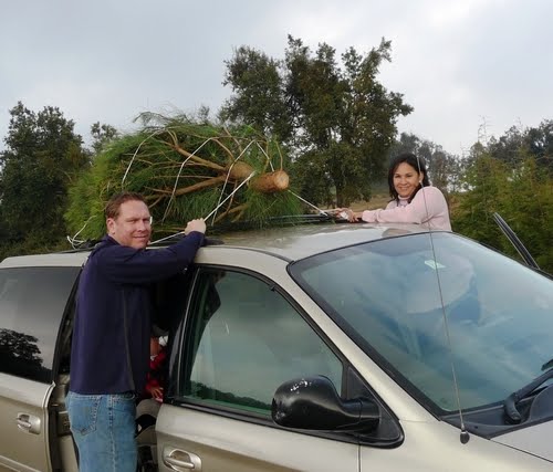 [tn_loading+the+tree.JPG]