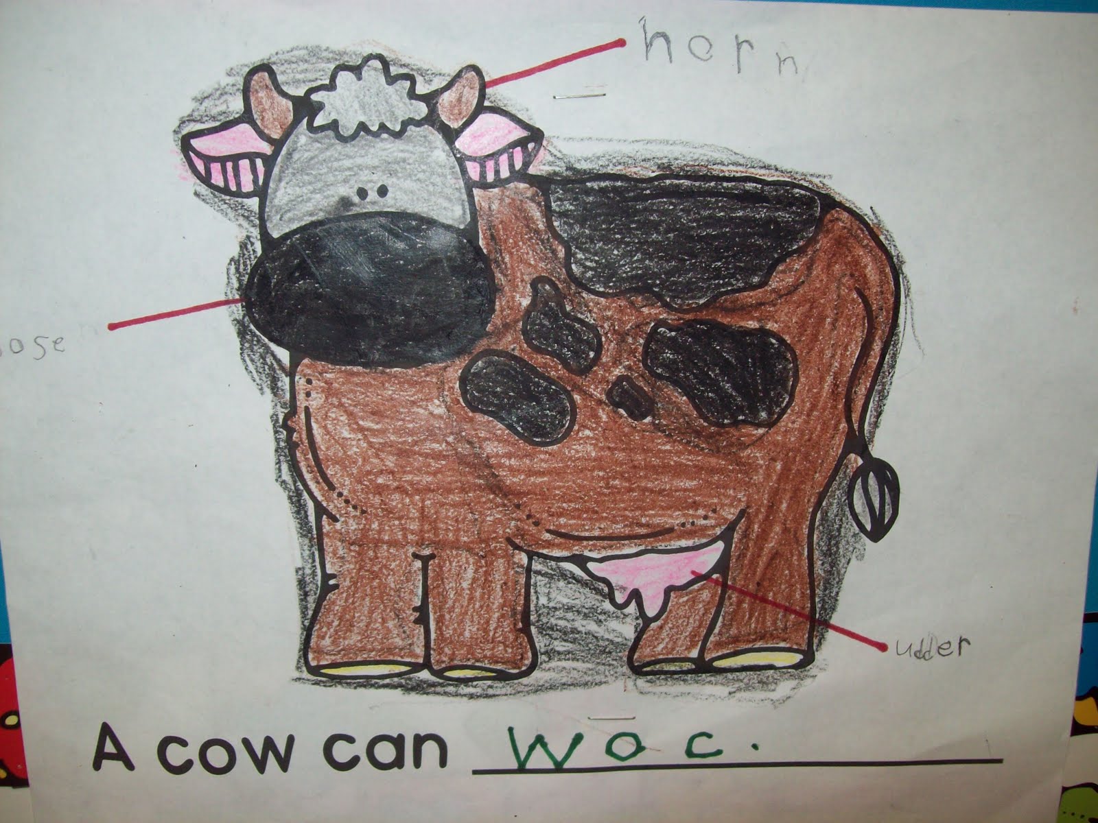 Kindergarten Chronicles: A Kindergarten Blog...: Animal Characteristics