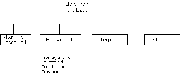 clenbuterolo: Mantienilo semplice