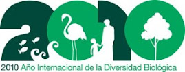 2010 Año Internacional de la Diversidad Biológica