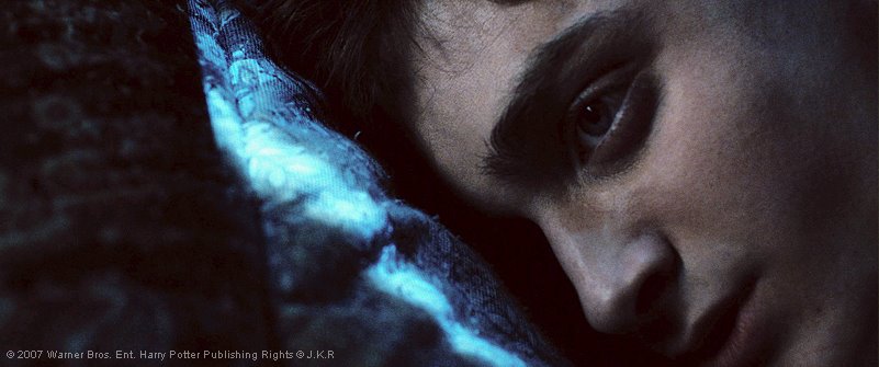 [potter.bmp]