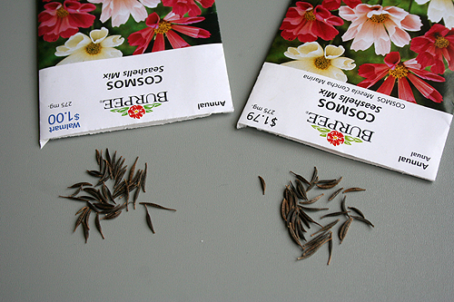 [Burpee+Cosmos+Seed+packets.png]