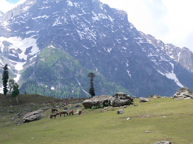 pastures of heaven