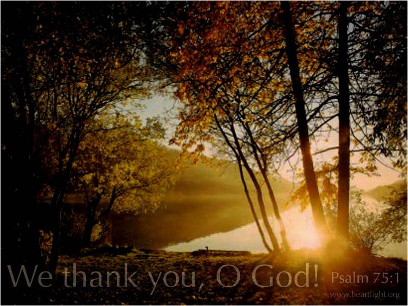 Life Reflexology We Thank You GOD!