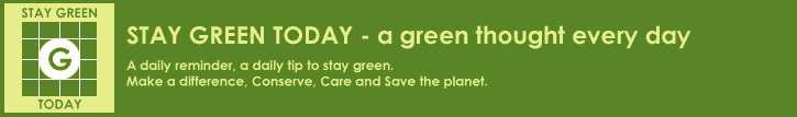 A green thought - Every single day!