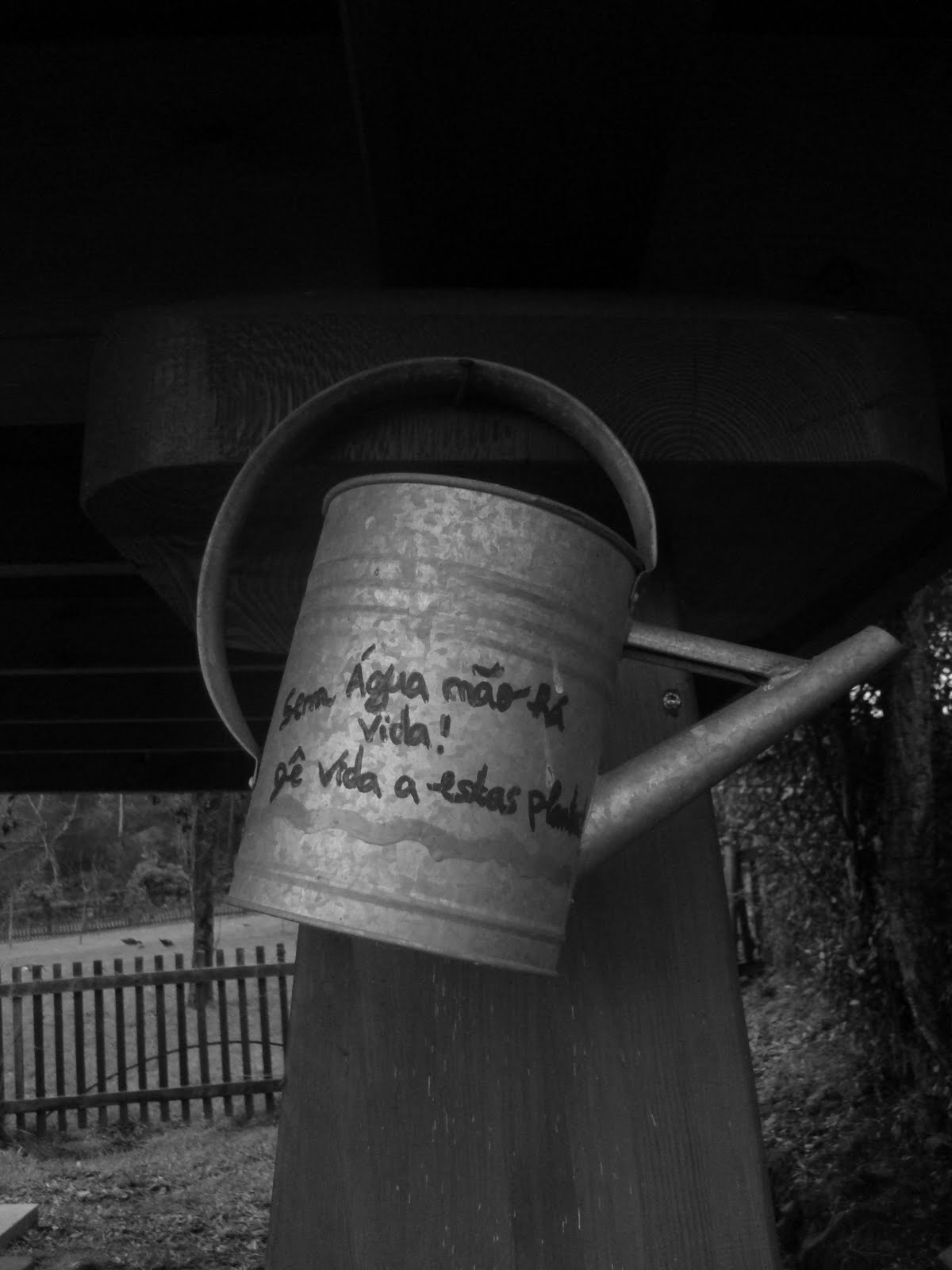 [DSC05067.JPG]