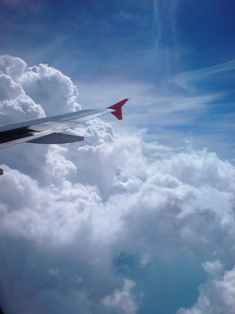 [DSC01523.JPG]