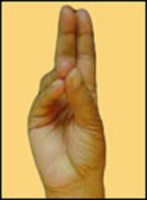 Two Fingers Image